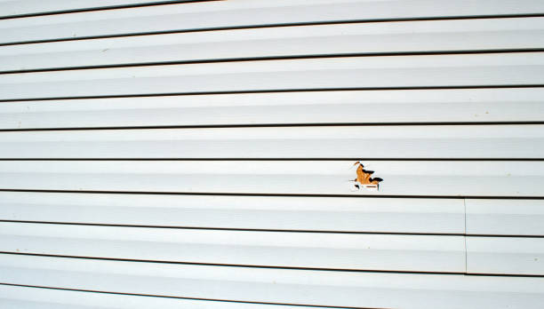Affordable siding repair and maintenance services in Marks, MS