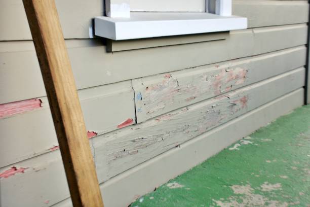 Best Custom Trim and Detailing for Siding  in Marks, MS